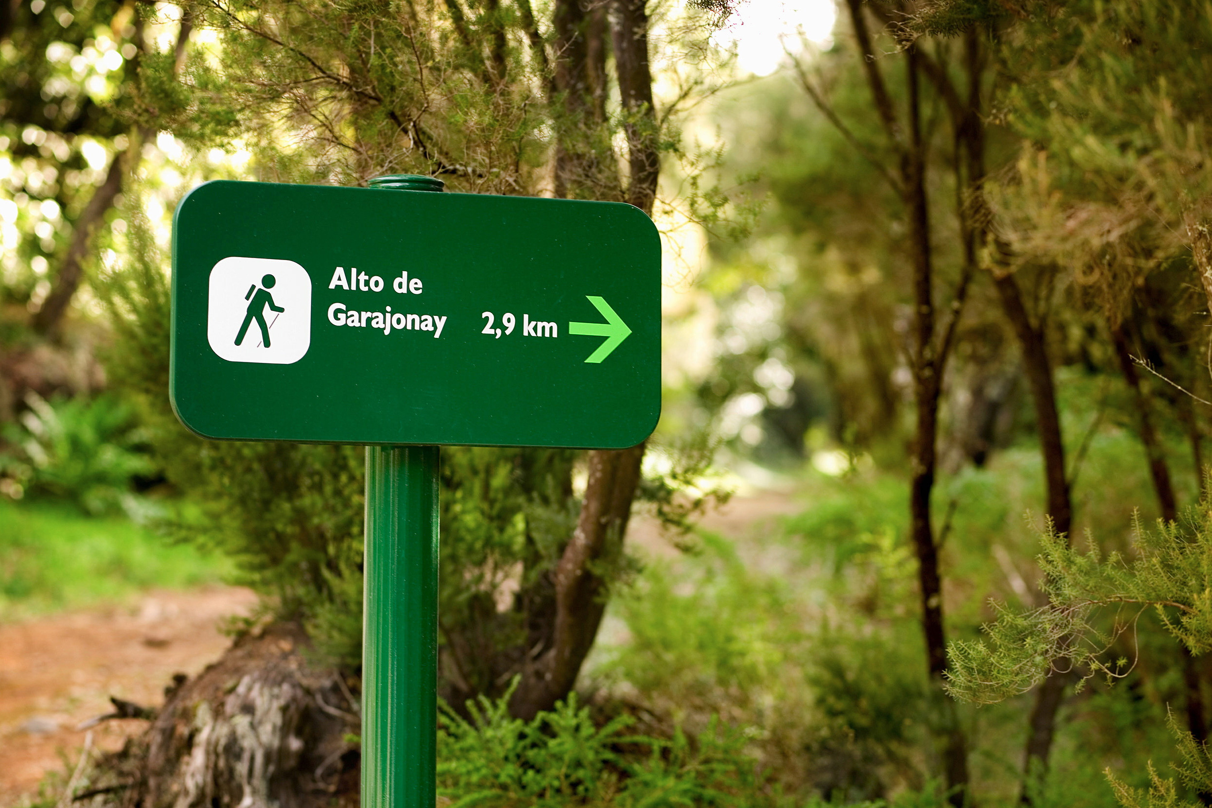 Reserve Garanuay – La Gomera