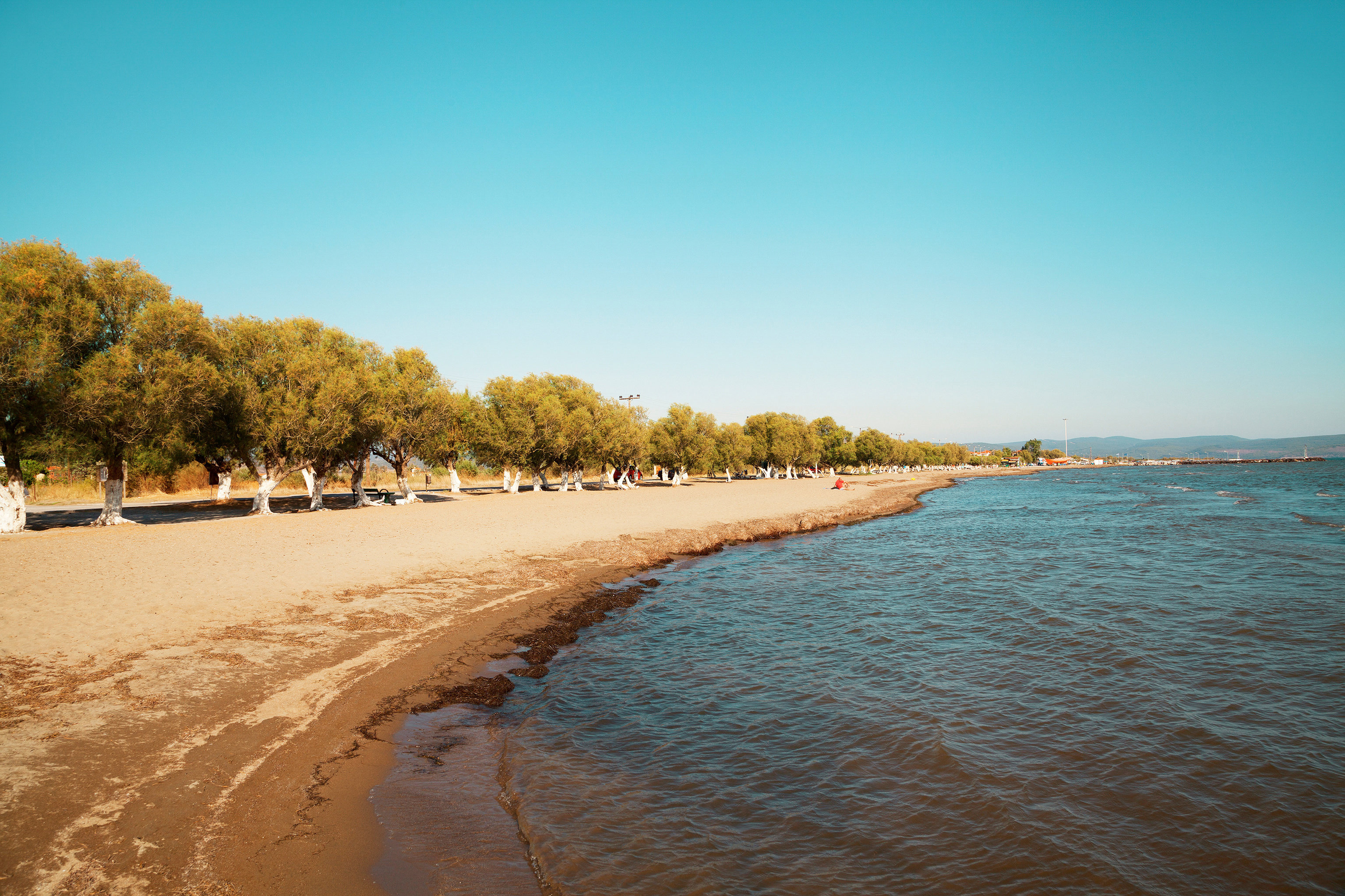 Skala Kallonis