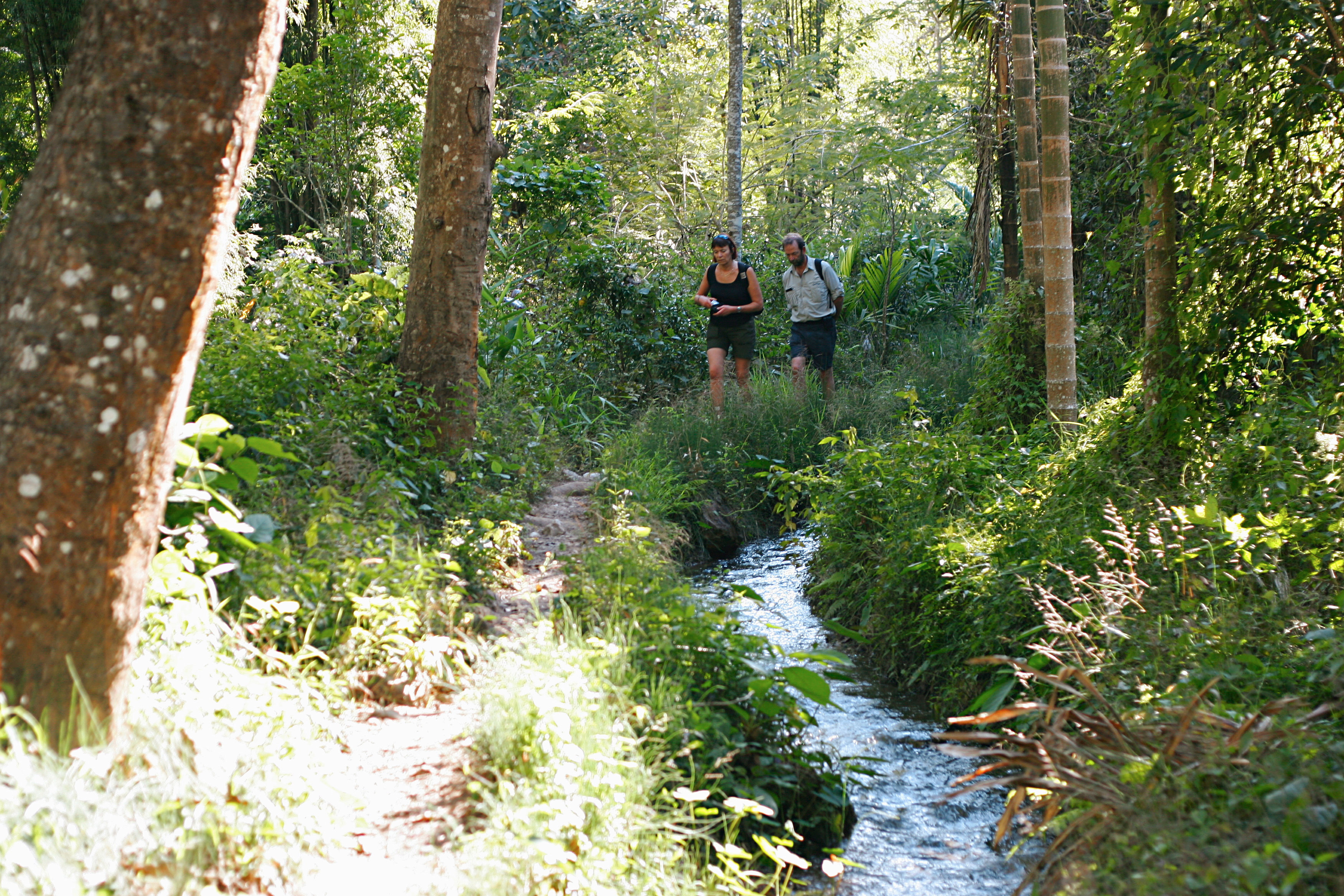 Fottur, Chiang Mai