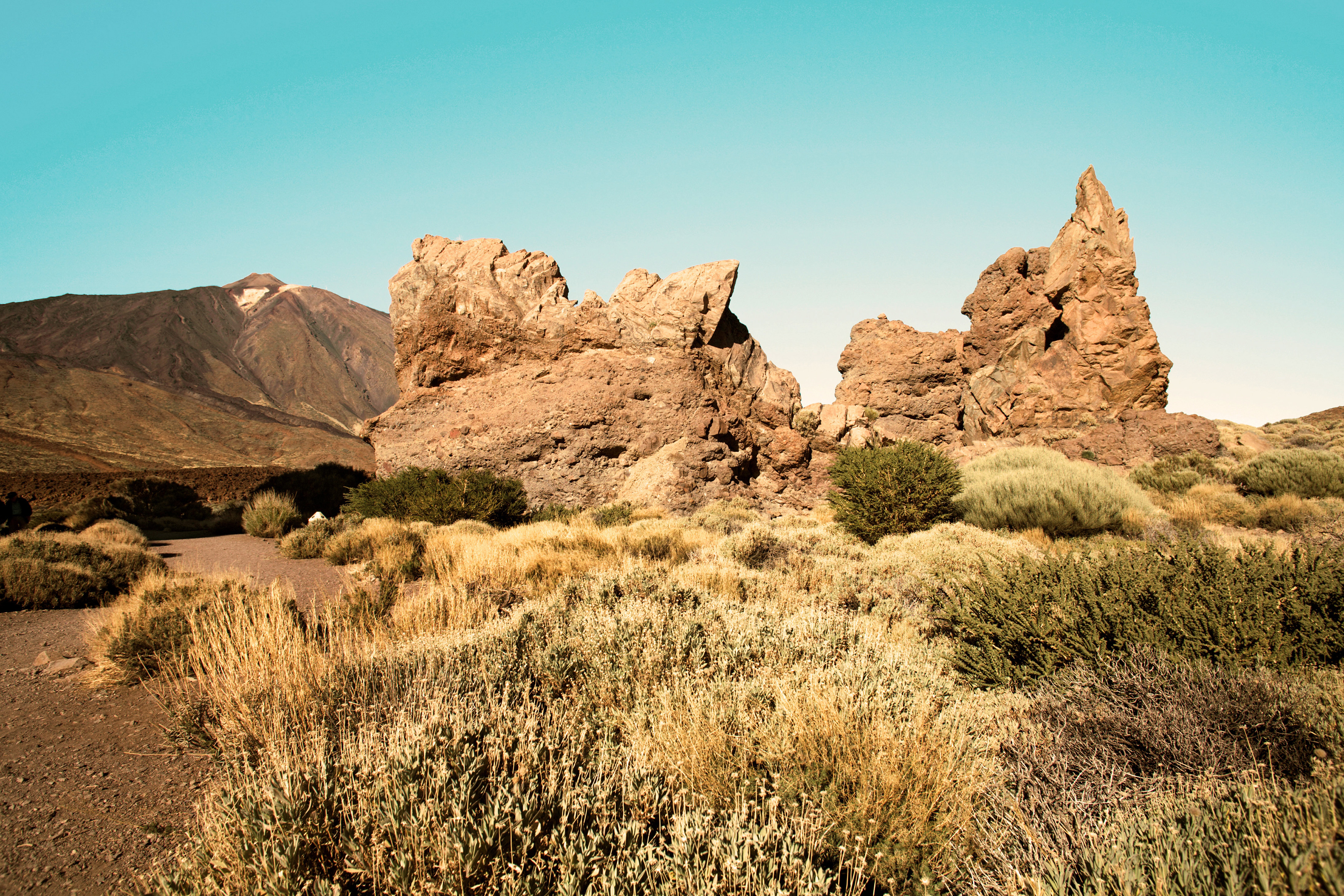 Fra området rundt Teide
