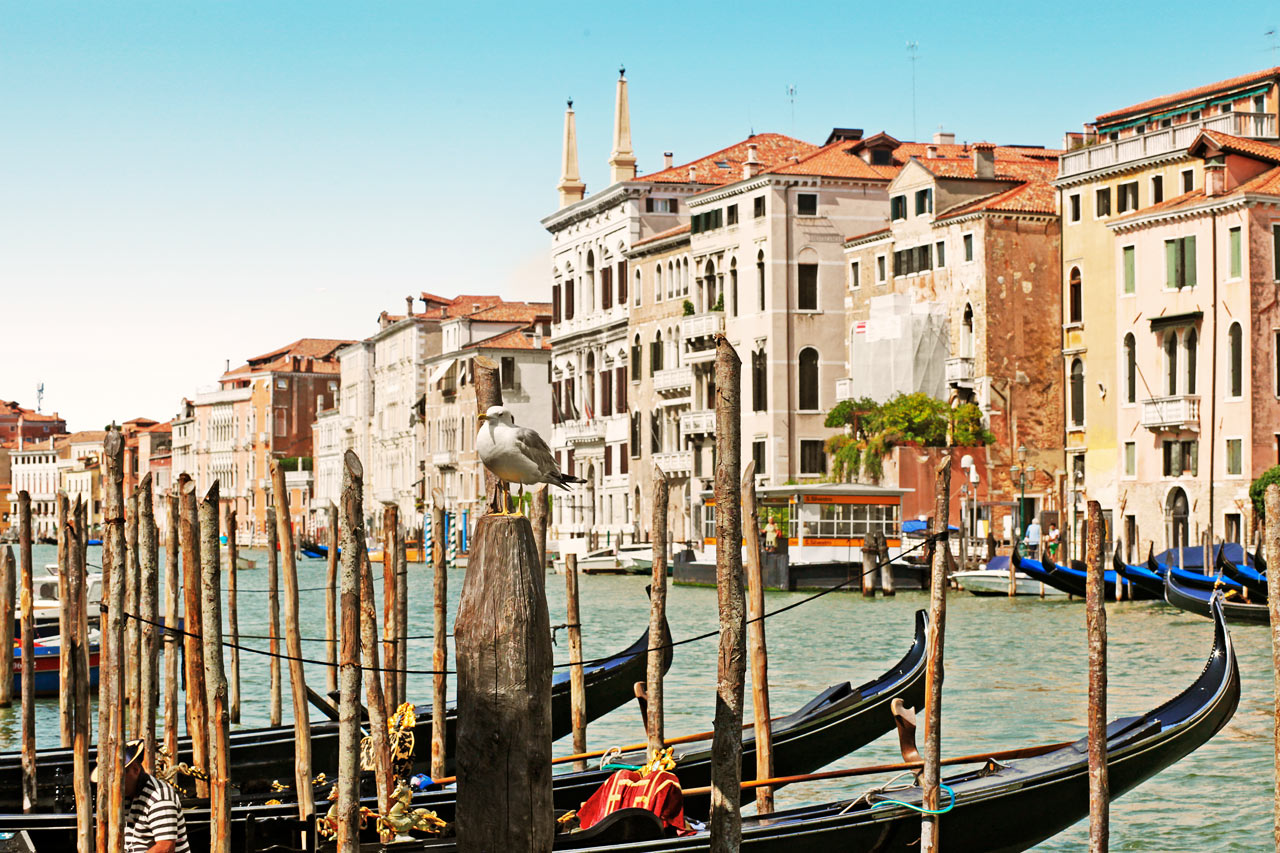 Venezia