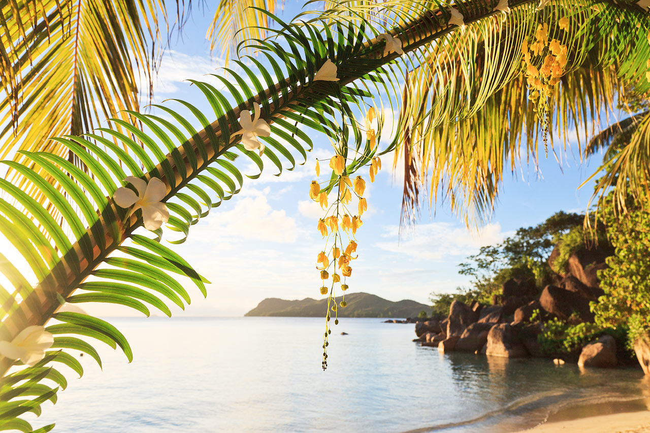 Praslin Island