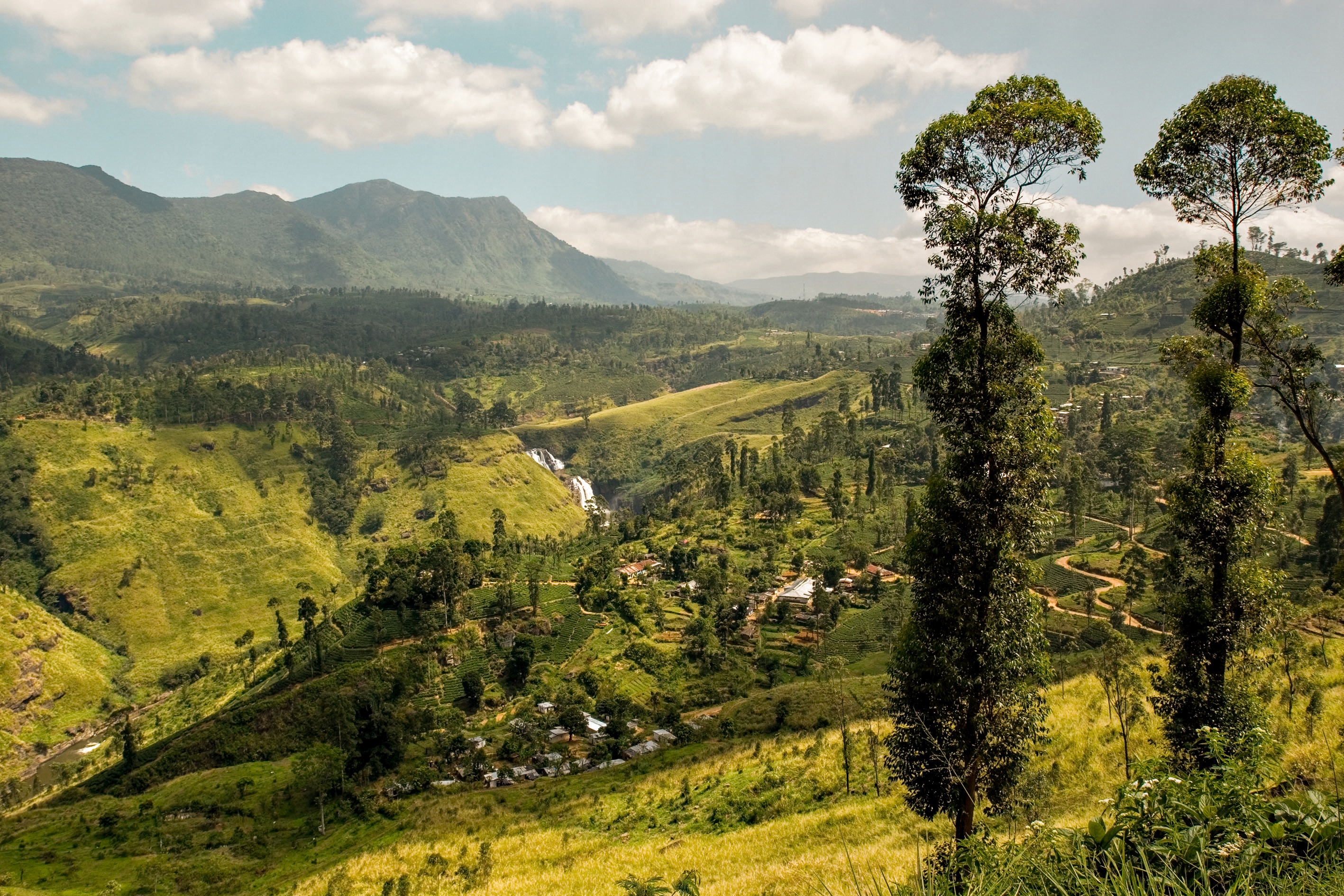 Sri Lankas vakre natur
