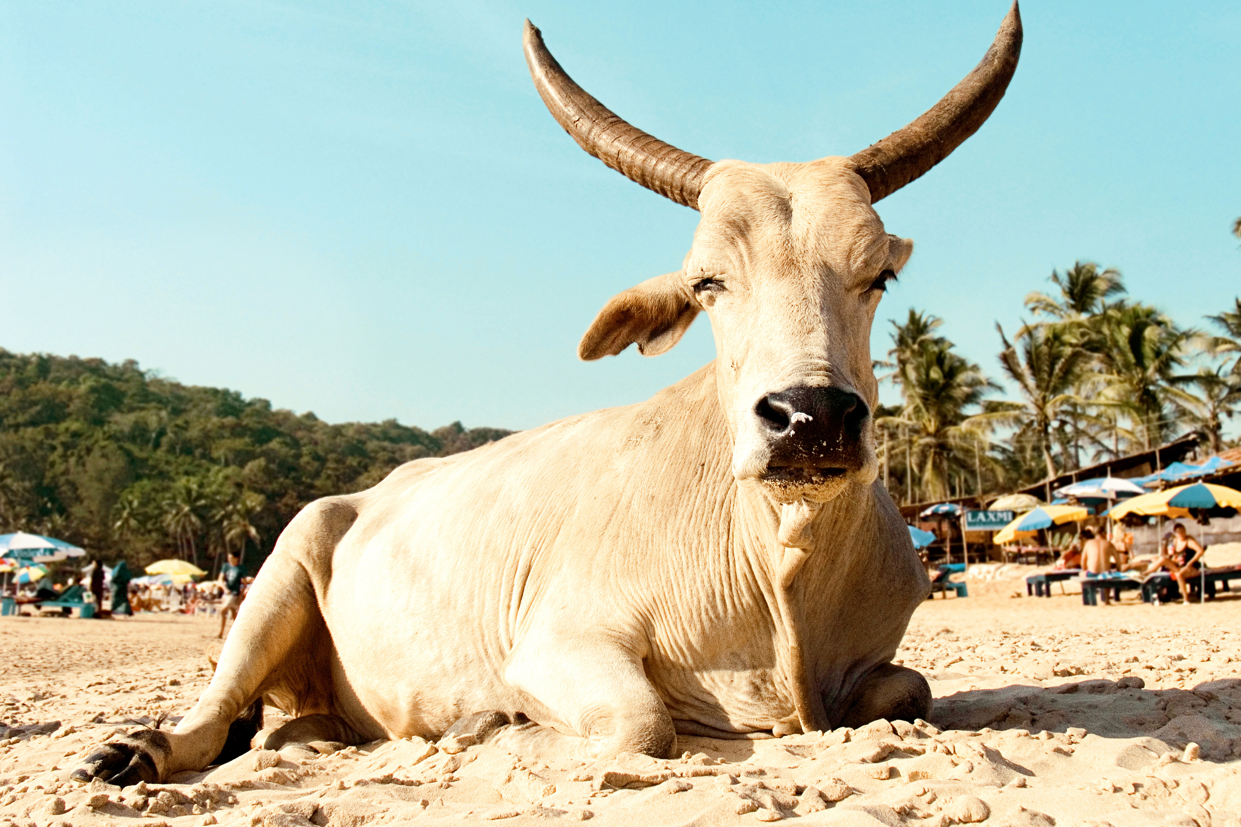 Goa, India