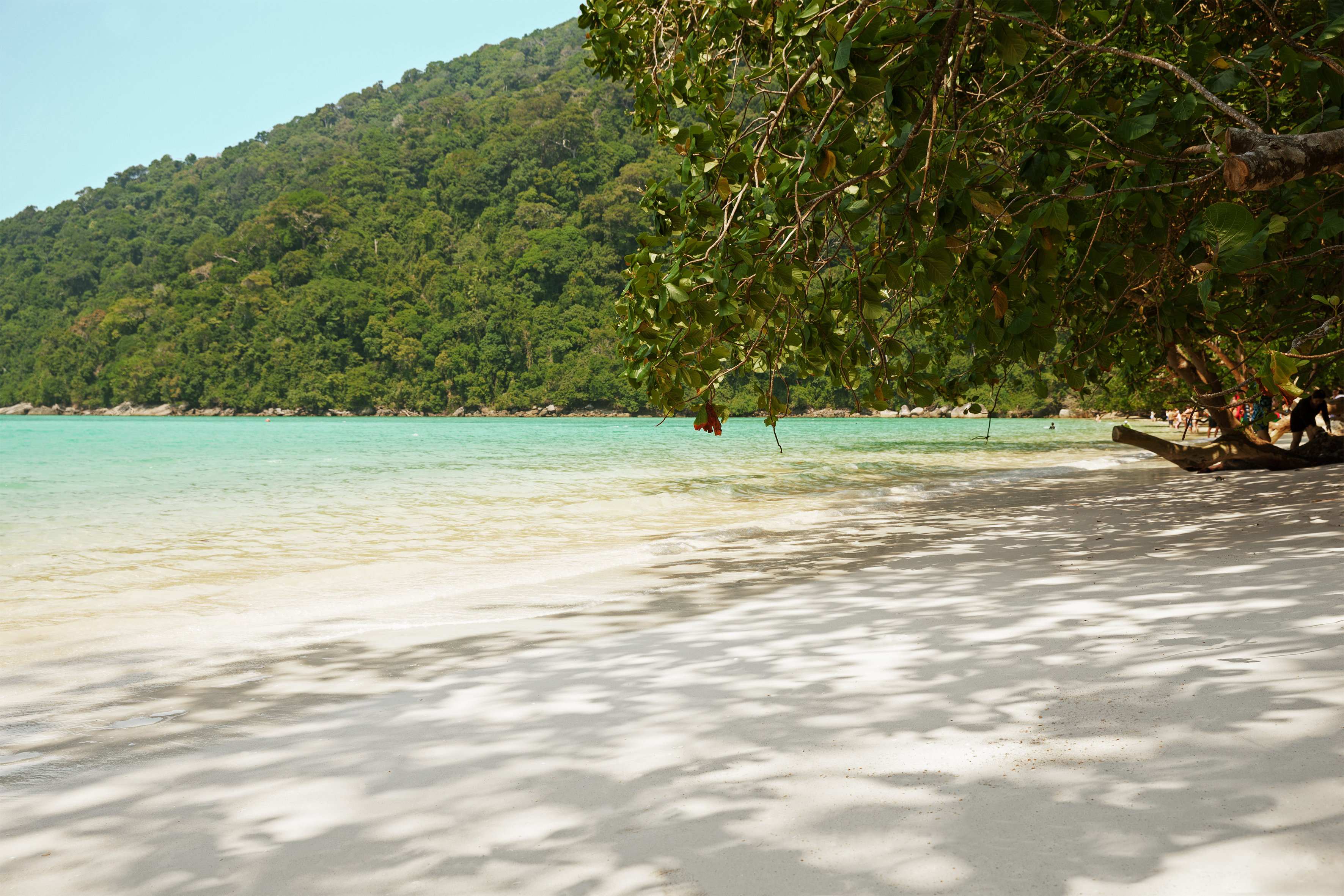 Utflukt til Surin Island fra Khao Lak, Thailand