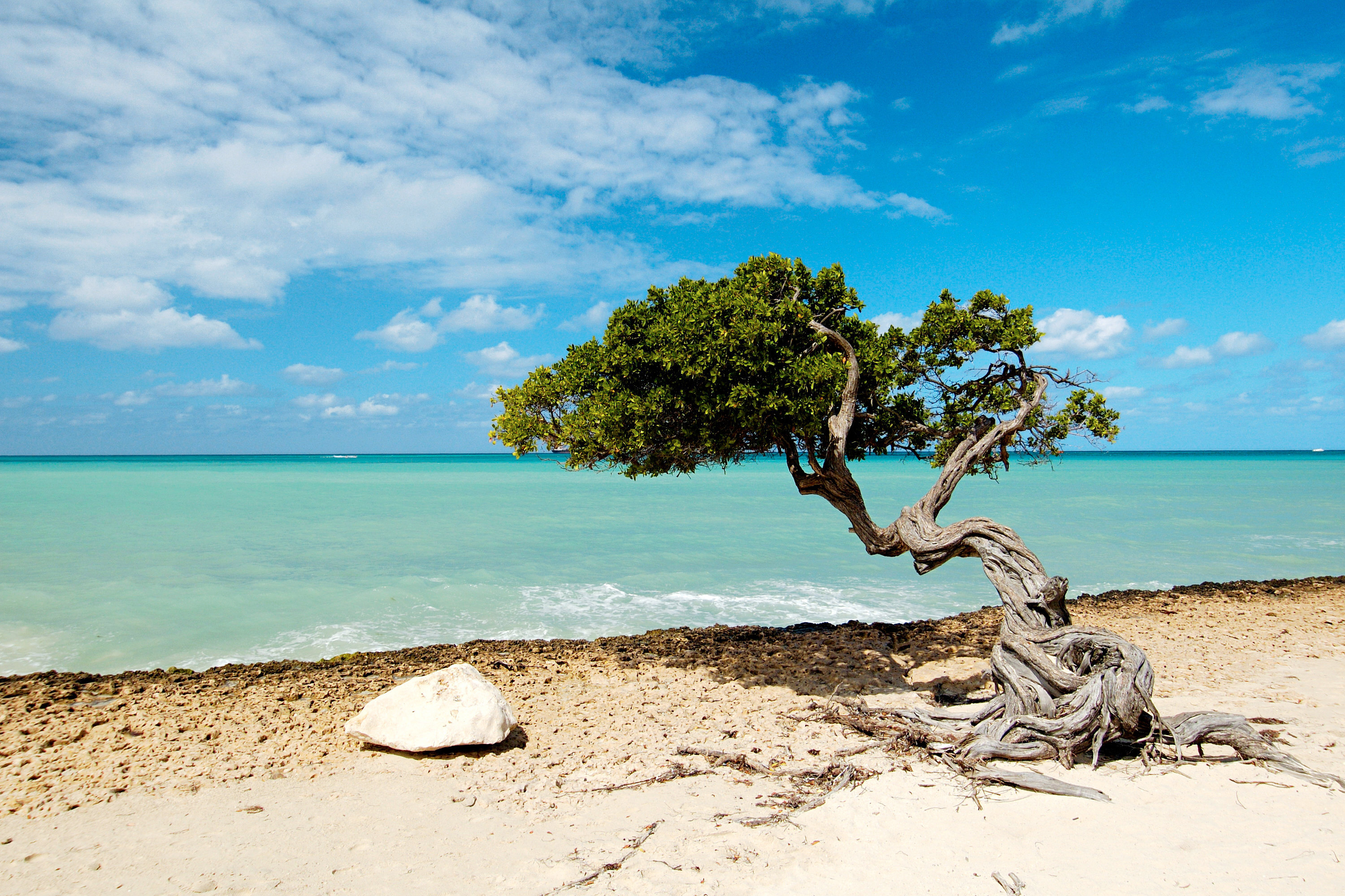 Aruba