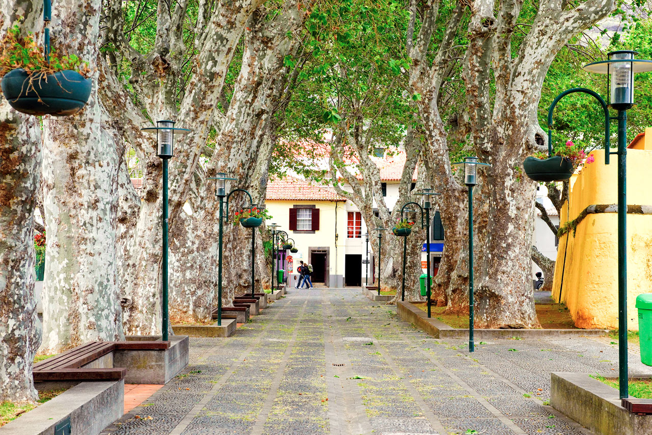 Koselige gater i Machico, Madeira.