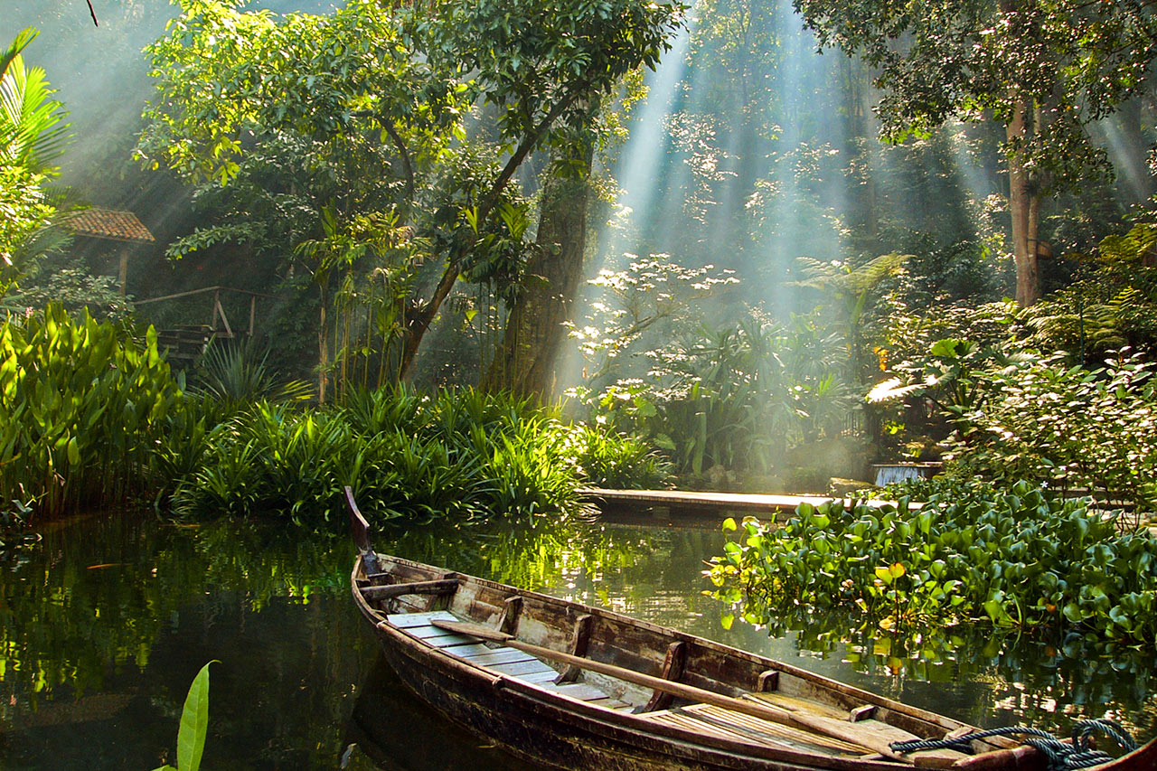Tropical Spice Garden