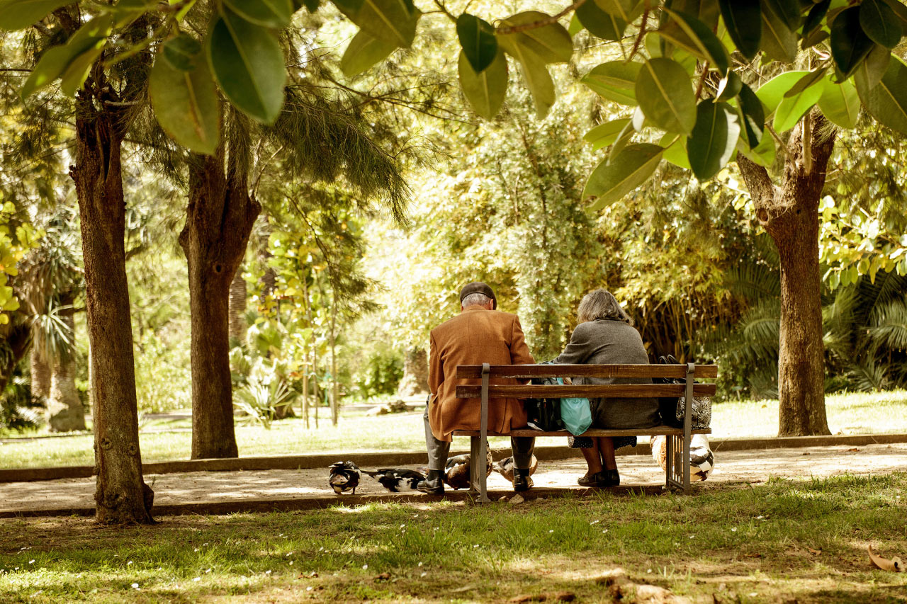 Jardim Botânico Tropical