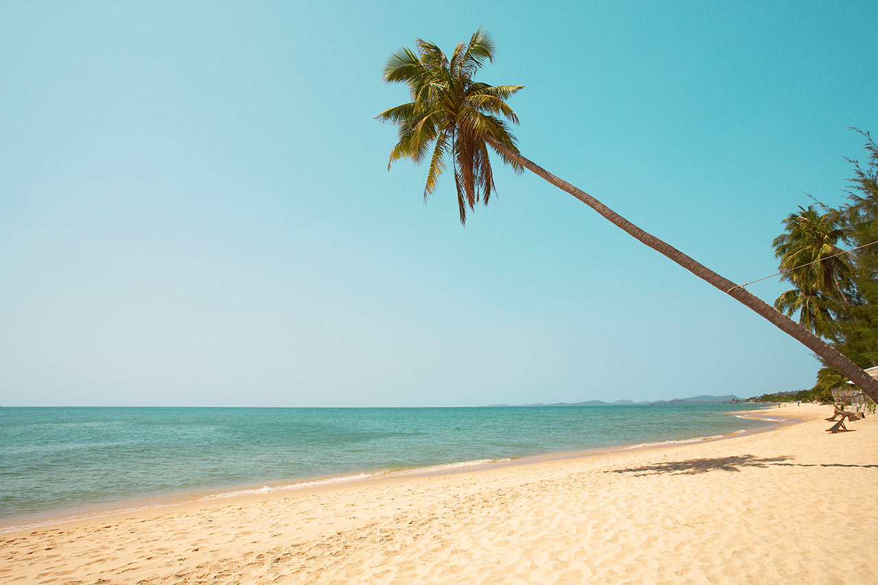 Stranden ved Vings hotell Cassia Cottage