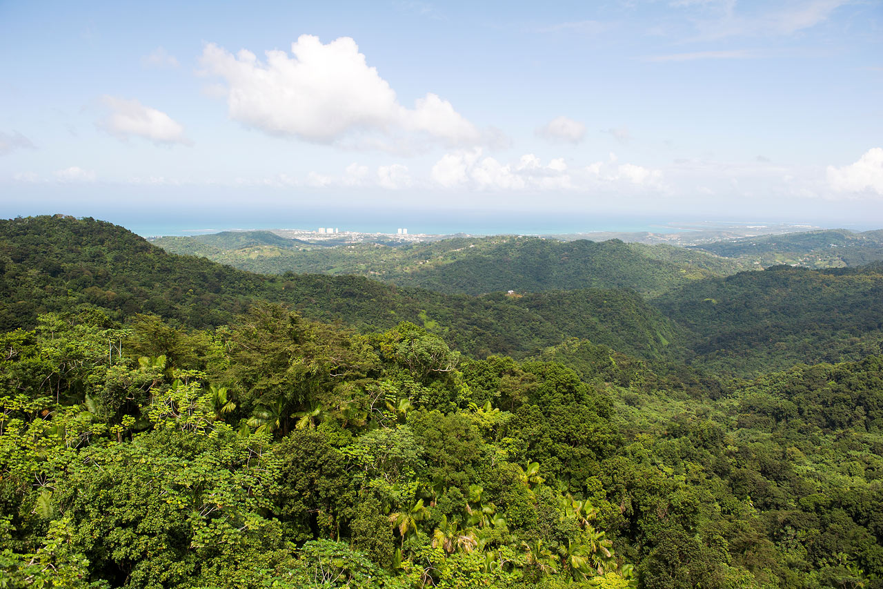 Nasjonalparken El Yunque
